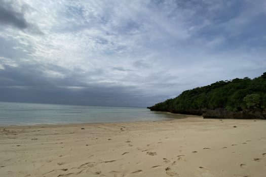 石垣島 平久保牧土地 約1,600坪