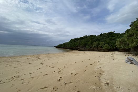 石垣島 平久保牧土地 約1,600坪