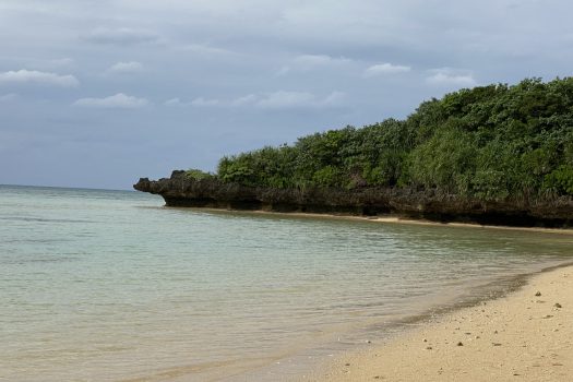 石垣島 平久保牧土地 約1,600坪