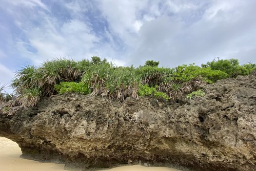 石垣島 平久保牧土地 約1,600坪