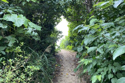 石垣島 平久保牧土地 約1,600坪