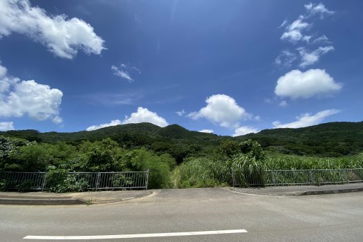 石垣島　平久保牧土地　約12,422坪