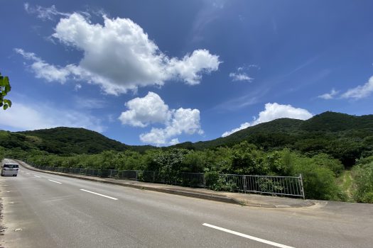 石垣島　平久保牧土地　約12,422坪