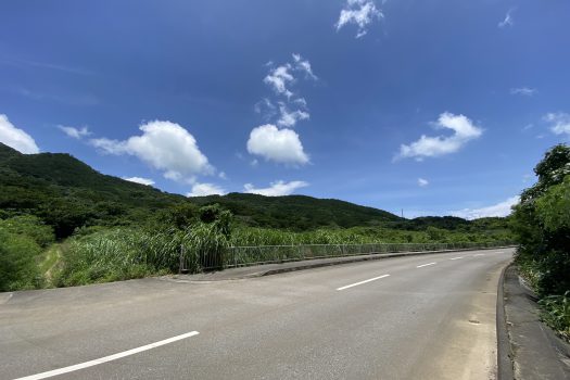 石垣島　平久保牧土地　約12,422坪