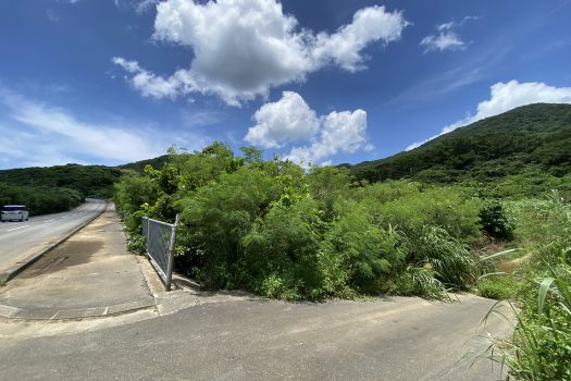 石垣島　平久保牧土地　約12,422坪