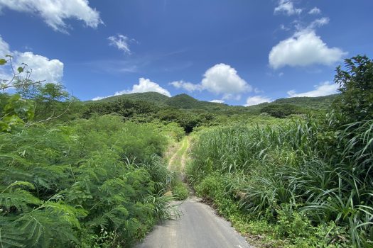 石垣島　平久保牧土地　約12,422坪