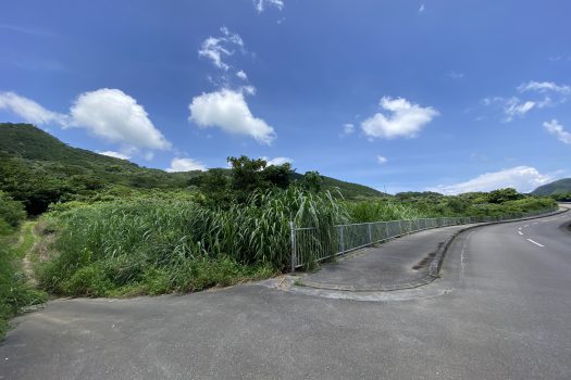 石垣島　平久保牧土地　約12,422坪
