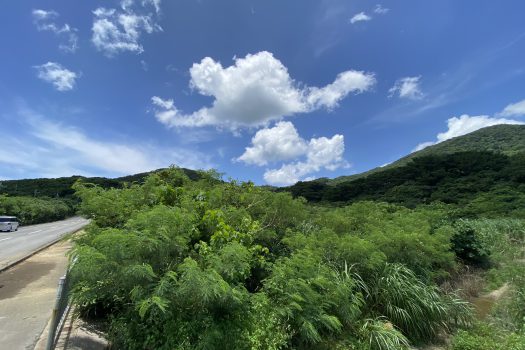 石垣島　平久保牧土地　約12,422坪