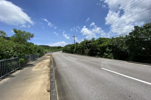 石垣島　平久保牧土地　約12,422坪