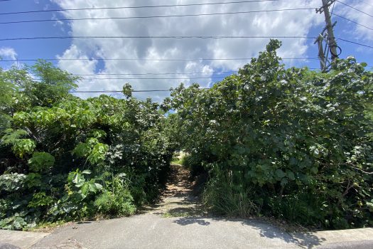 石垣島　平久保牧土地　約12,422坪