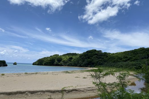 石垣島　平久保牧土地　約12,422坪