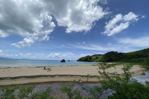 石垣島　平久保牧土地　約12,422坪