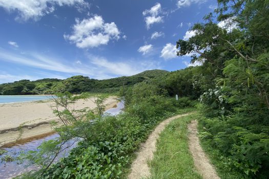 石垣島　平久保牧土地　約12,422坪