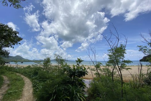 石垣島　平久保牧土地　約12,422坪