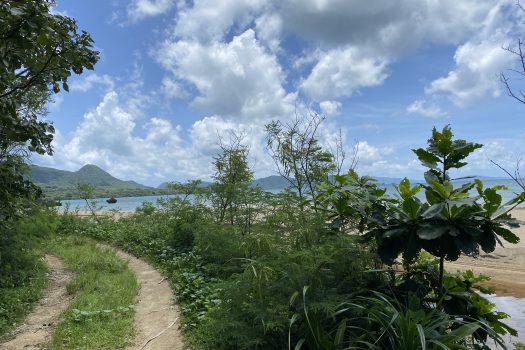 石垣島　平久保牧土地　約12,422坪