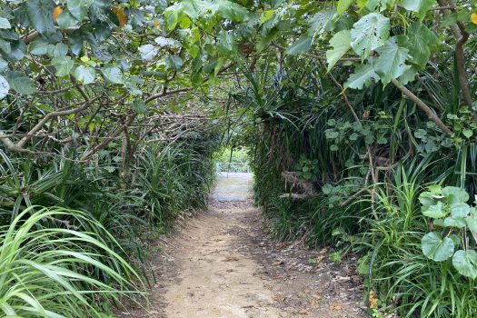 石垣島　平久保牧土地　約12,422坪