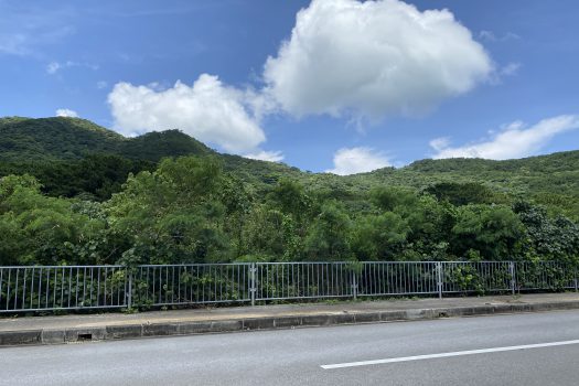 石垣島　平久保牧土地　約12,422坪