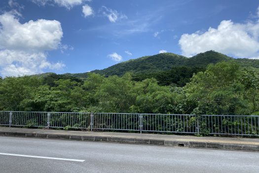 石垣島　平久保牧土地　約12,422坪