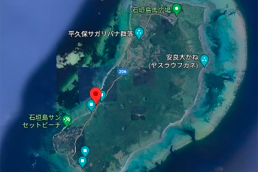 石垣島 平久保牧土地 約1,600坪