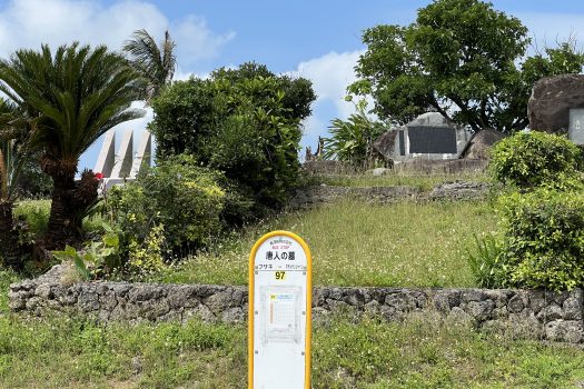 石垣島　新川冨埼1600坪土地