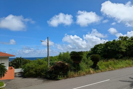 石垣川平ヤマバレ土地150坪！